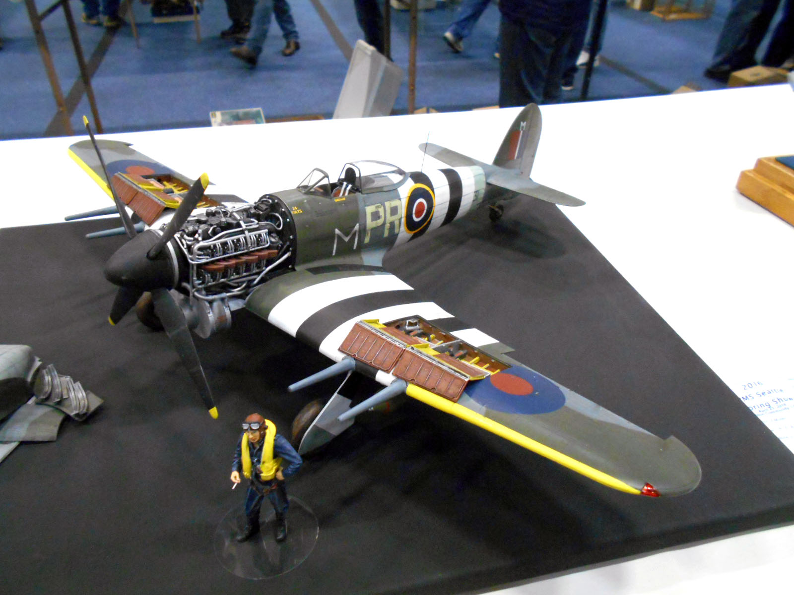 Collection 5 - pRenton IPMS Spring Show 04 23  2016 0049 Aircraft 07 Typhoon 01