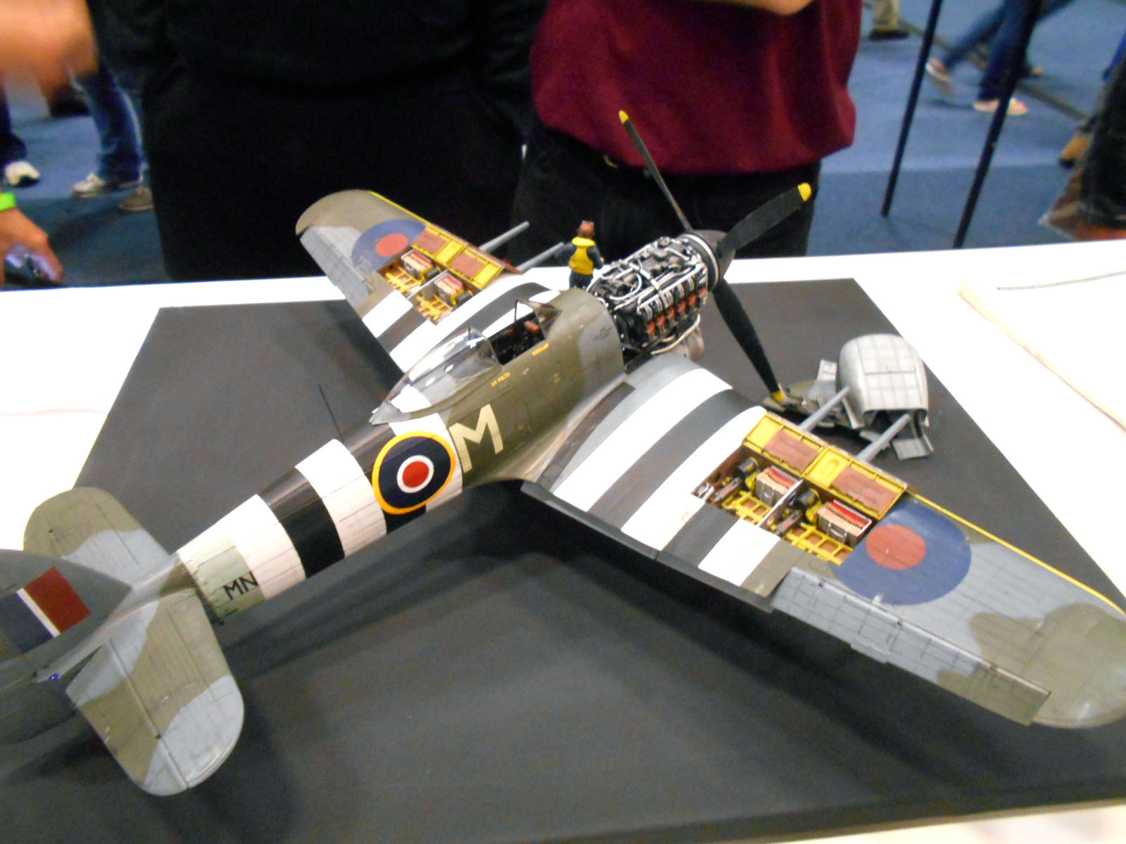 Collection 5 - pRenton IPMS Spring Show 04 23  2016 0049 Aircraft 07 Typhoon 02