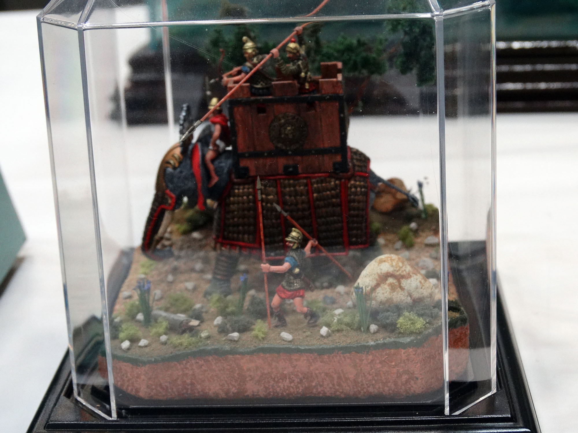 Collection 5 - pDSC03759