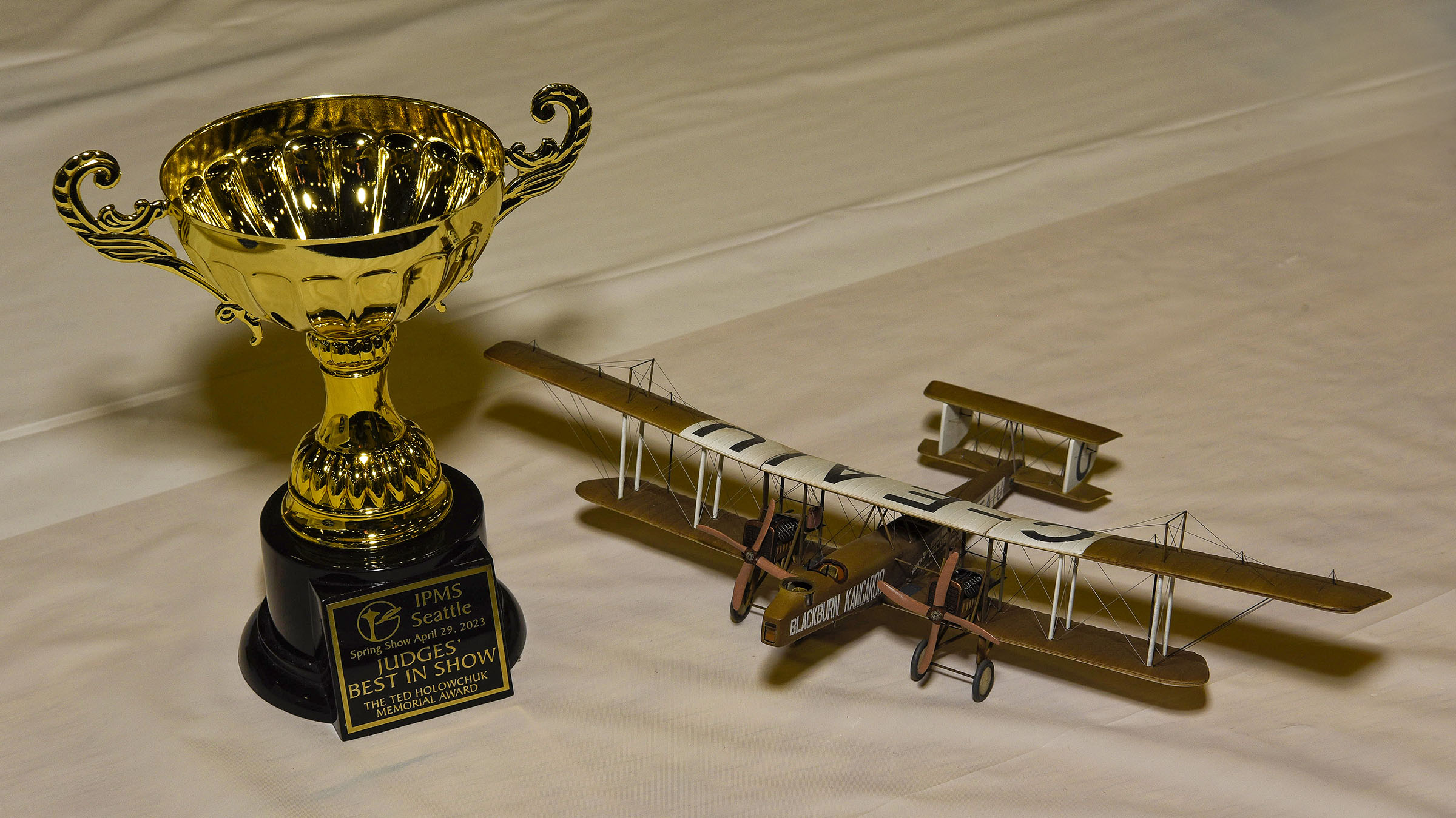 Best of show model